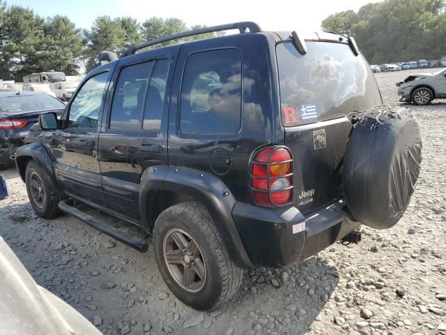 2003 Jeep Liberty Renegade