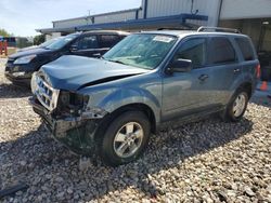 Salvage cars for sale at Wayland, MI auction: 2010 Ford Escape XLT