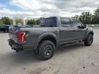 2018 Ford F150 Raptor