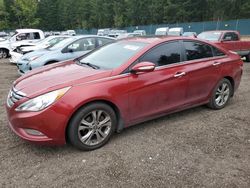 Compre carros salvage a la venta ahora en subasta: 2013 Hyundai Sonata SE