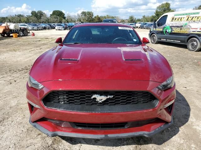 2019 Ford Mustang