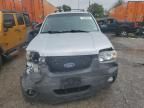 2007 Ford Escape XLT