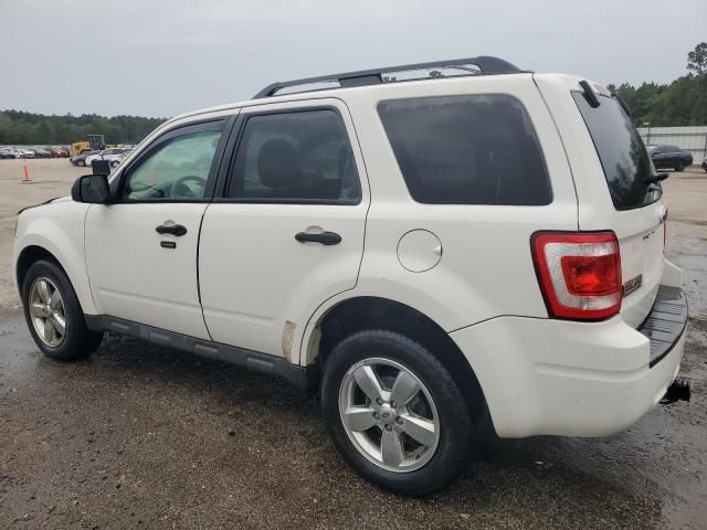 2012 Ford Escape XLT