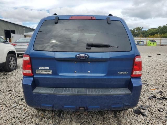 2008 Ford Escape XLT