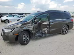 Salvage cars for sale at Houston, TX auction: 2023 Honda Odyssey Touring