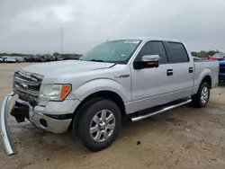 Ford salvage cars for sale: 2014 Ford F150 Supercrew