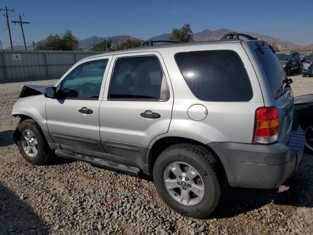 2005 Ford Escape XLT