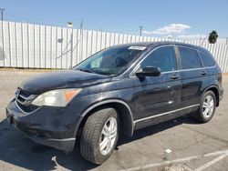 Salvage cars for sale at Van Nuys, CA auction: 2011 Honda CR-V EX