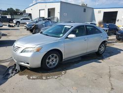 Toyota Vehiculos salvage en venta: 2008 Toyota Camry CE