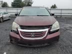 2009 Honda Odyssey EXL