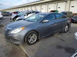 Salvage cars for sale at Louisville, KY auction: 2014 Hyundai Sonata GLS