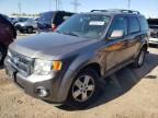 2009 Ford Escape XLT