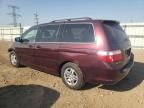 2007 Honda Odyssey EXL