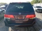 2010 Honda Odyssey EXL