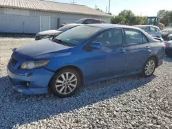 Salvage cars for sale at Columbus, OH auction: 2010 Toyota Corolla Base