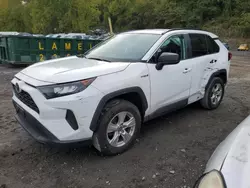 Toyota salvage cars for sale: 2021 Toyota Rav4 LE