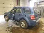 2009 Ford Escape XLS