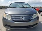 2013 Honda Odyssey EXL