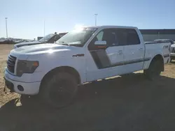 Salvage trucks for sale at Nisku, AB auction: 2014 Ford F150 Supercrew