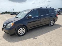 Salvage cars for sale at Arcadia, FL auction: 2010 Honda Odyssey EXL