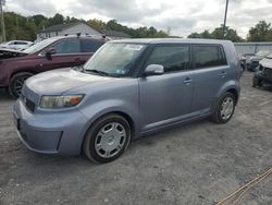 Salvage cars for sale at York Haven, PA auction: 2010 Scion XB