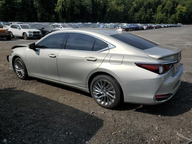 2021 Lexus ES 300H Luxury