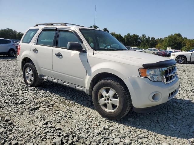 2010 Ford Escape XLS