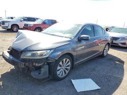 Salvage cars for sale at Tucson, AZ auction: 2014 Honda Accord EXL