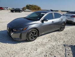 Salvage cars for sale at Taylor, TX auction: 2024 Nissan Sentra SV