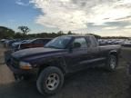 1999 Dodge Dakota