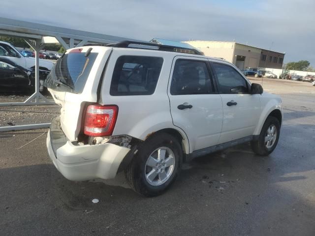 2011 Ford Escape XLS