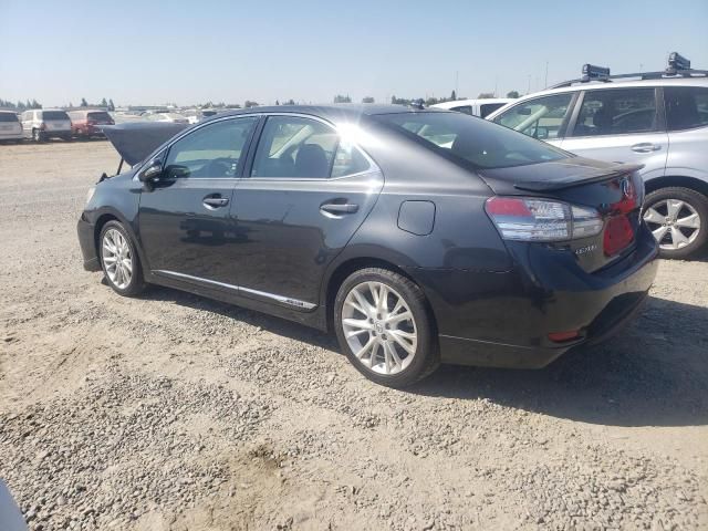 2010 Lexus HS 250H