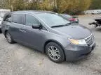 2013 Honda Odyssey EXL