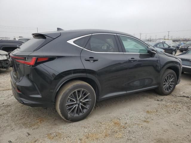 2024 Lexus NX 250 Base