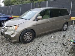 Honda Odyssey ex salvage cars for sale: 2010 Honda Odyssey EX