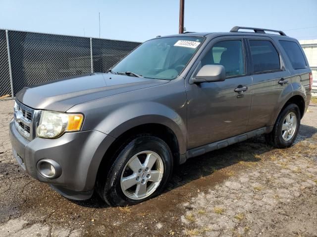 2009 Ford Escape XLT