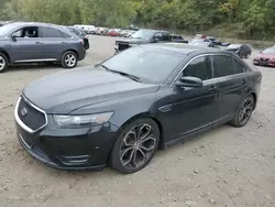 Ford Vehiculos salvage en venta: 2013 Ford Taurus SHO