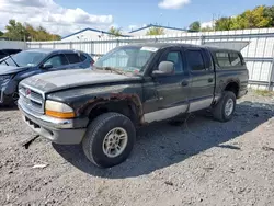 Salvage cars for sale at Albany, NY auction: 2000 Dodge Dakota Quattro