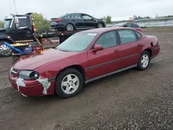 Chevrolet salvage cars for sale: 2005 Chevrolet Impala