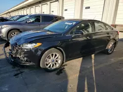 Salvage cars for sale at auction: 2017 Ford Fusion SE