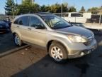 2007 Honda CR-V EX