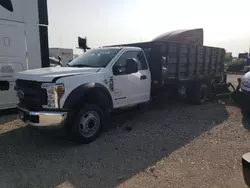 Salvage trucks for sale at Cicero, IN auction: 2019 Ford F550 Super Duty