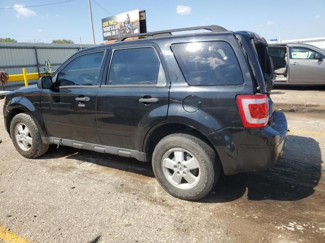 2011 Ford Escape XLT