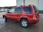 2006 Ford Escape HEV