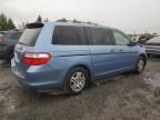 2006 Honda Odyssey EXL