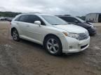 2009 Toyota Venza