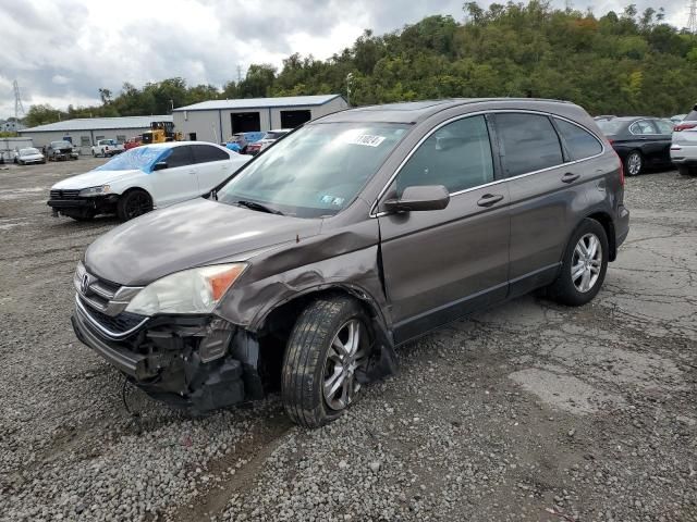 2010 Honda CR-V EXL