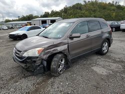 Salvage cars for sale at West Mifflin, PA auction: 2010 Honda CR-V EXL