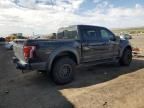 2017 Ford F150 Raptor