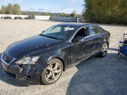 Salvage cars for sale at Arlington, WA auction: 2009 Lexus IS 250